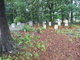 Concord Methodist Episcopal Church Cemetery