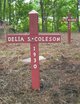  Delia R. <I>Slade</I> Coleson
