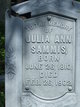  Julia Ann Sammis