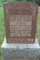  Mary Ann <I>Cusick</I> Driscoll