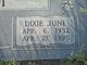 Dixie June Stewart Photo