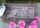  Bonnie Jean <I>Oudekerk</I> Jung