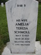  Amelia Teresa Schmoll