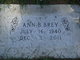  Ann B Brey
