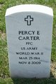 PFC Percy E Carter Photo