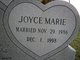 Joyce Marie Green Gray Seals Photo