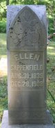  Ellen <I>Shepherd</I> Sappenfield
