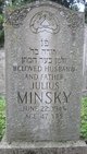  Julius Minsky