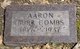 Aaron Burr Combs III Photo