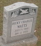 Ricky Charles Watts Photo