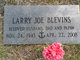  Larry Joe Blevins