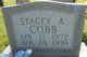 Stacey A. Cobb Photo