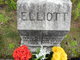  Frances Elizabeth “Fannie” <I>Wallace</I> Elliott