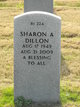 Sharon A Dillon Photo