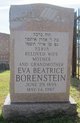  Eva Beatrice <I>Nudelman</I> Borenstein