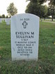  Evelyn M Sullivan