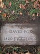  David Smith Fox