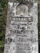  Susan C Dorsett