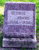  George Adams