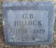  George Bruce Hillock