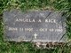 Angela A Rice Photo