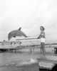 Profile photo:  Mitzi the Dolphin