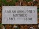  Sarah Ann <I>Brown</I> Jones