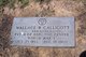  Wallace B Calicott