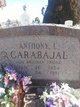  Anthony L Carabajal
