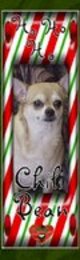  Chili Bean Chihuahua “Bubby Boodle” Howard