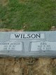  Andrew Jackson Wilson