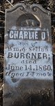  Charles O “Charlie” Burgner