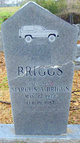  Marcus A Briggs