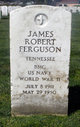  James Robert Ferguson