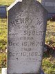  Henry W Siebert