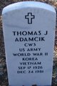  Thomas J Adamcik