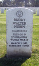 Buddy Walter Nubin