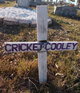 Profile photo:  Cricket Cooley