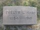  Evelyn L Hare