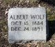  Albert Wolf