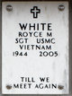 Royce Marcell White Photo