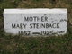  Mary Steinback