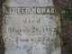  Horace Broughton “Little Horace” Merriam