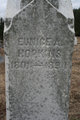  Eunice A Hinman <I>Van Buren</I> Hopkins