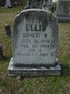  Ernest W Ellis