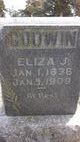  Eliza J <I>Ellis</I> Godwin