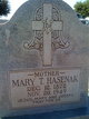  Mary Theresa <I>Goeke</I> Hasenak