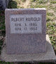  Albert Rumold
