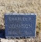  Charles Perry Johnson
