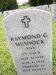  Raymond G Mushock